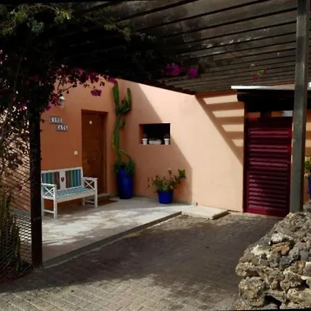 Kite Kate, Cozy Space, House And Garden *